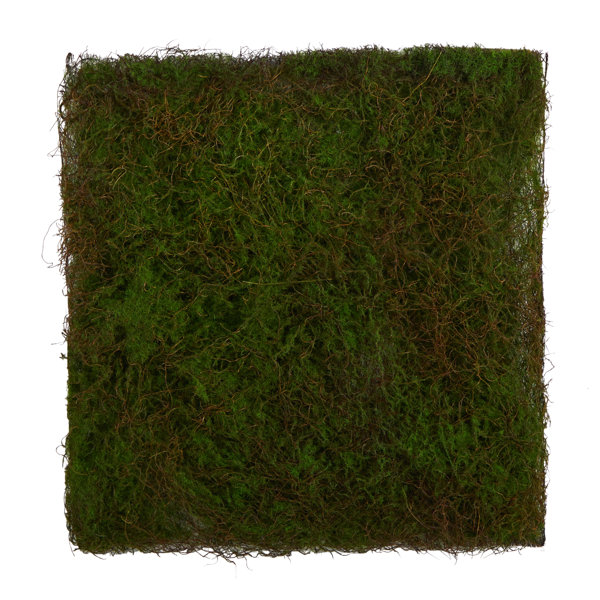 Primrue 20'' Faux Moss Plant Wayfair